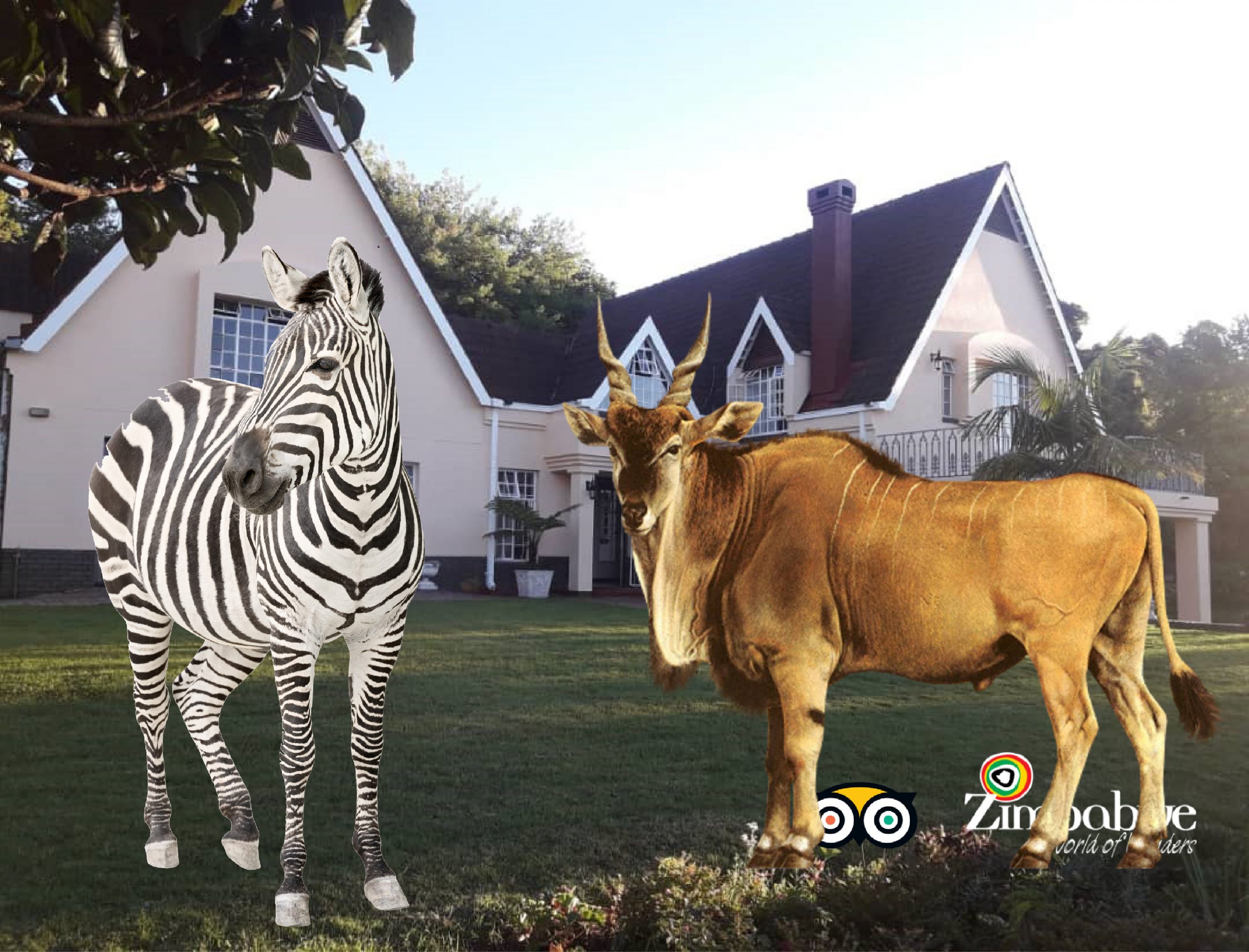 Welcome to the Summer Place Lodge